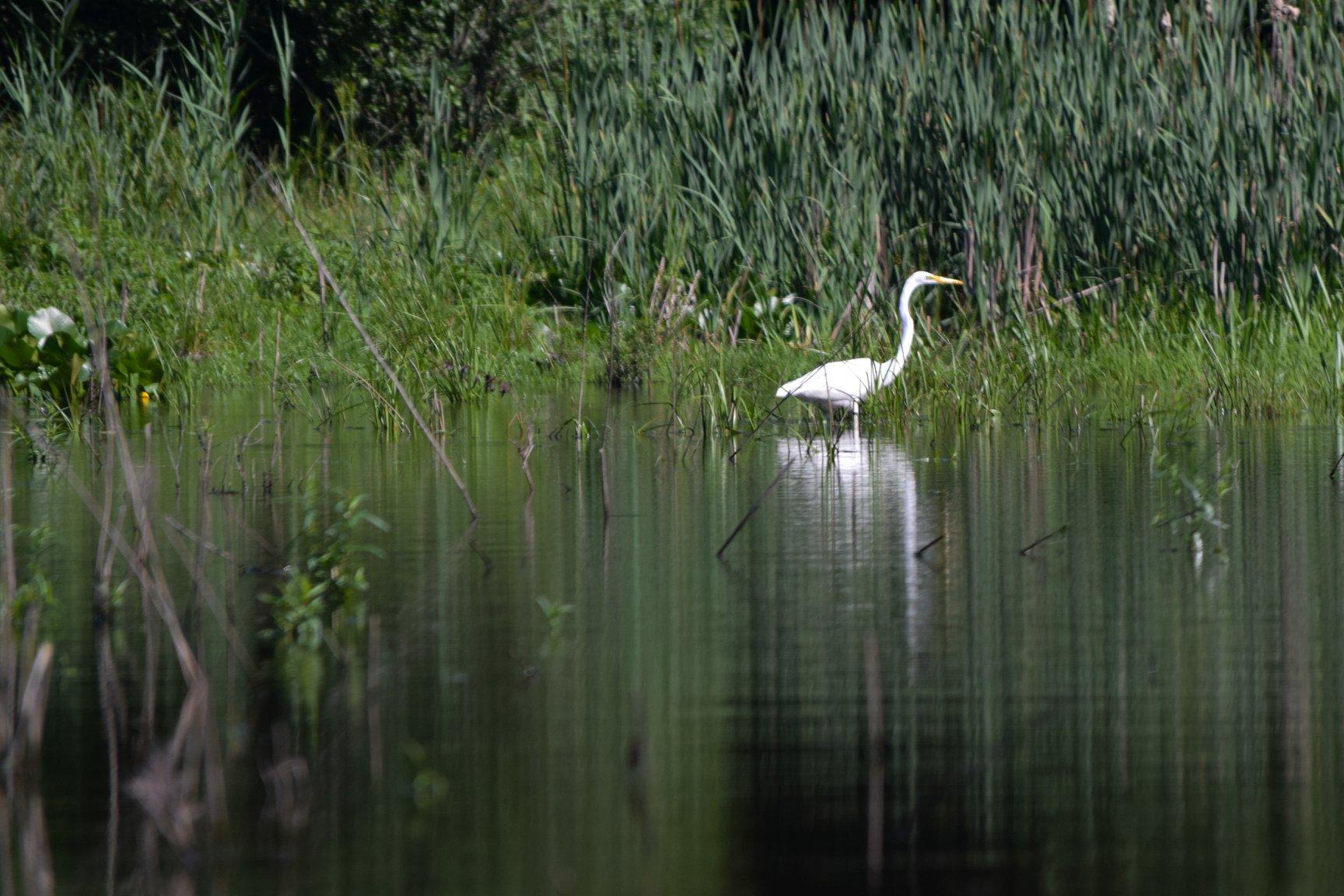 Electrician in Breinigsville, PA Electrical Repairs in Fogelsville